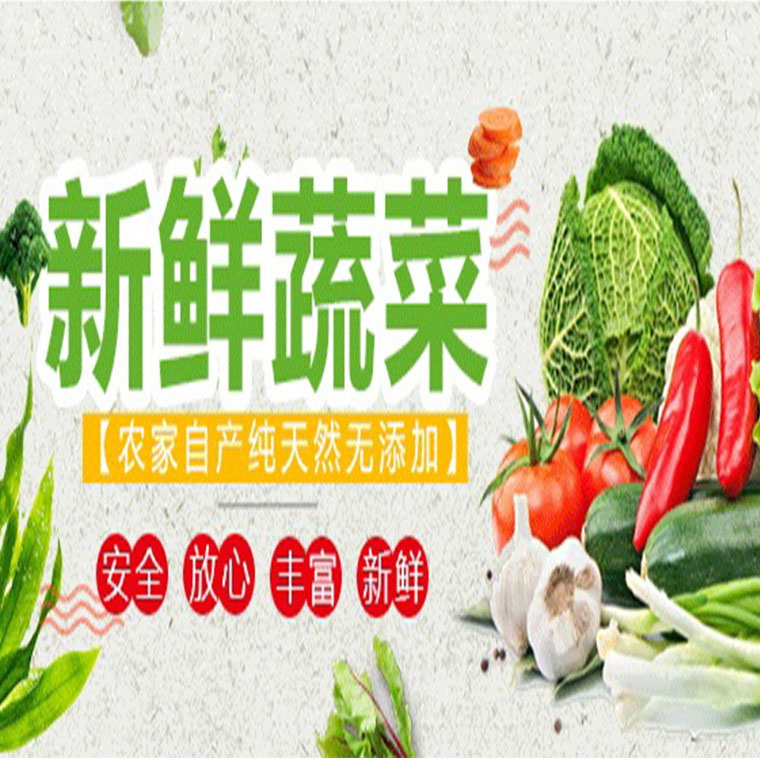 清新區食材批發蔬菜配送服務公司報價表與食堂送菜服務解析